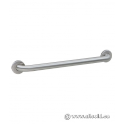 Bobrick B-5806 24" Straight Grab Bar